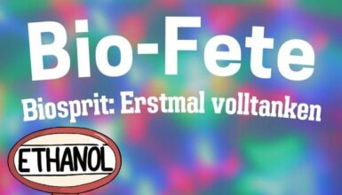 <strong>Sommer-Bio-Fete 2023</strong>